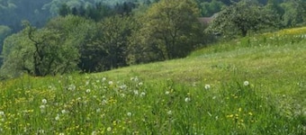 House Waldeck - FEWO, Tyskland