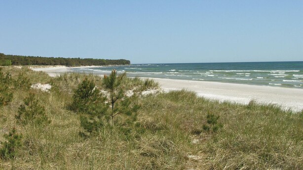 A beach with sand, grass, and the ocean. - Stunning home in Rønne with kitchen (Rønne)