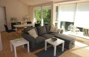 TV, fireplace, DVD player