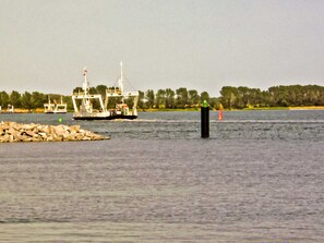 Imagen sin descripción, 4 de 17, botón