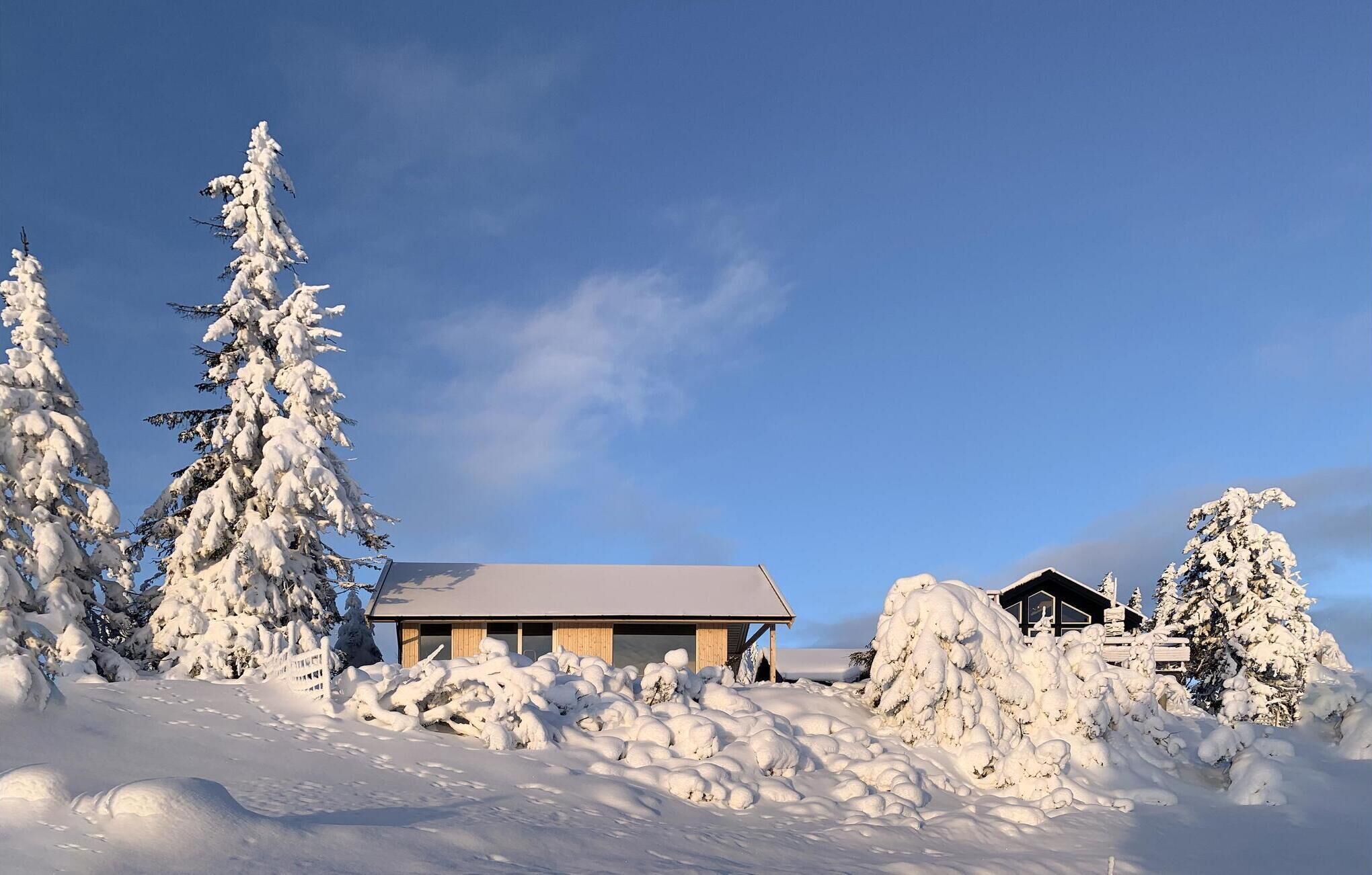 A modern cabin with a sloped roof, surrounded by snow-covered trees and a clear blue sky.