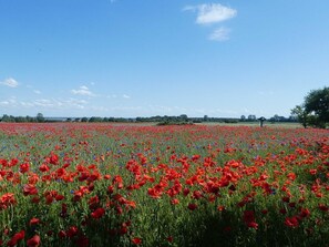Nicht klassifiziertes Bild, 5 von 12, Schaltfläche
