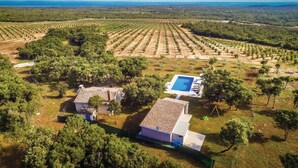 An aerial view of a property with a swimming pool, two buildings, and extensive agricultural fields. - Lovely home in Cubani (Cubani)