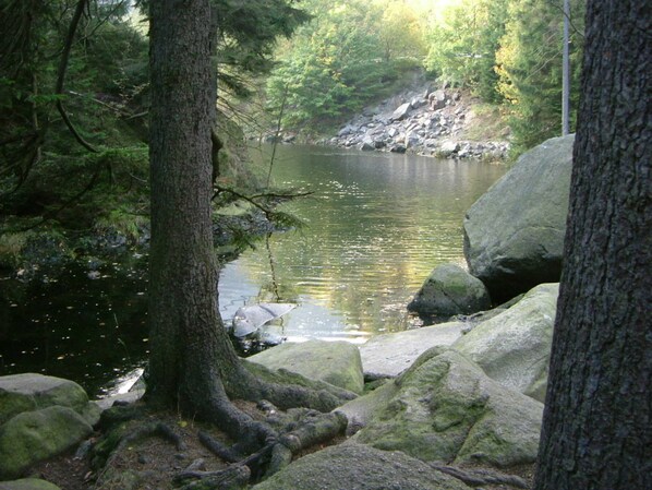 Unclassified image, 1 of 16, button