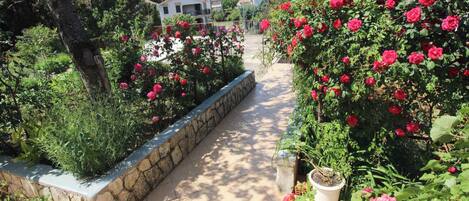 Overnatningsstedets område