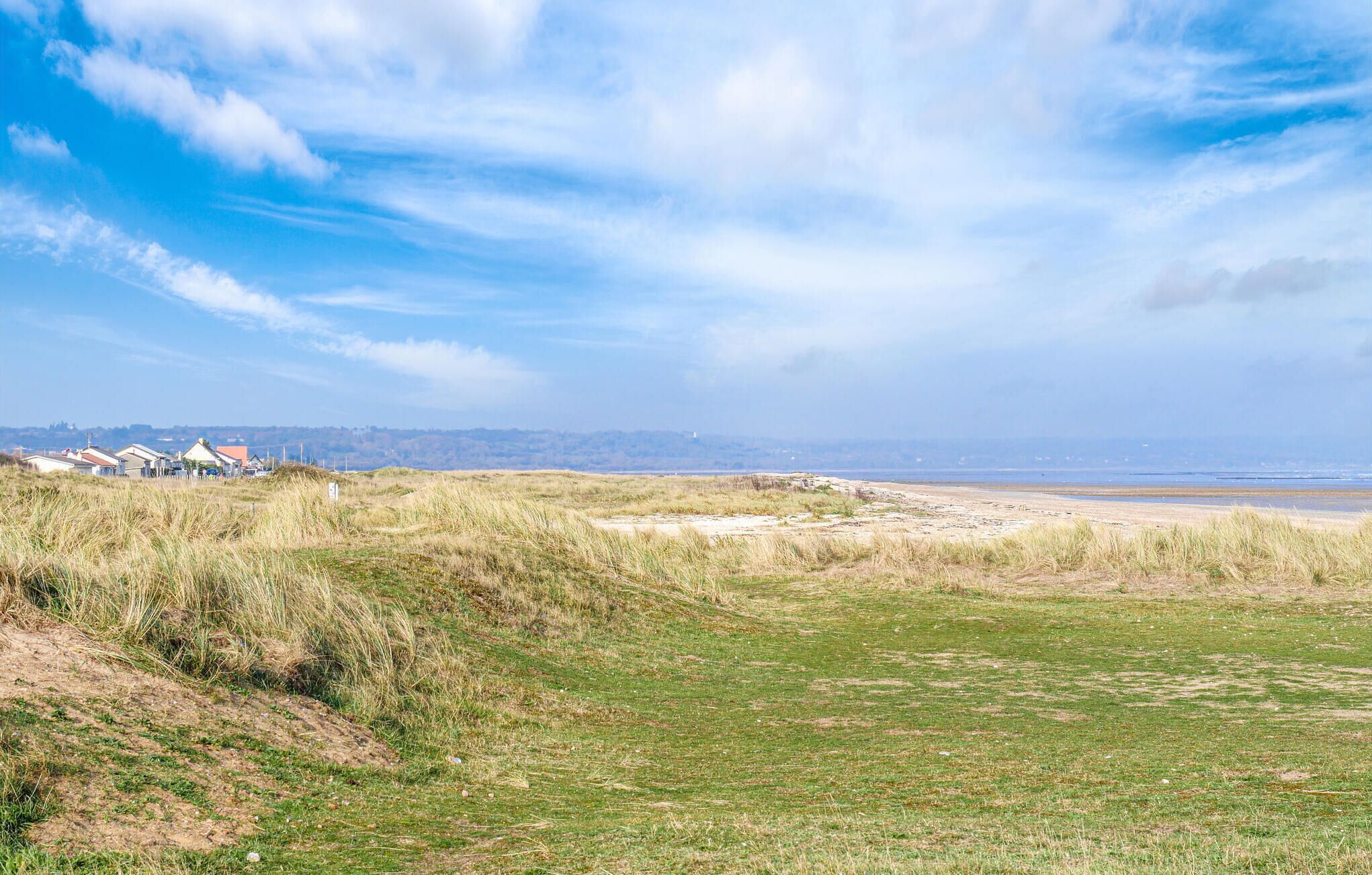 A coastal landscape with grassy dunes, a beach, and a row of houses in the background.