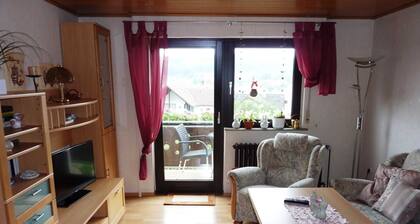 Ferienwohnung Krämer in Erbach