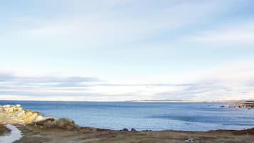 Vlak bij het strand, vissen