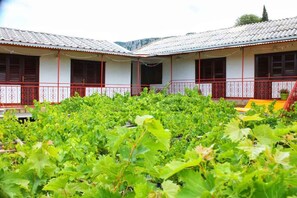 Exterior - Holiday home with a 100 sqm terrace (Grižane)