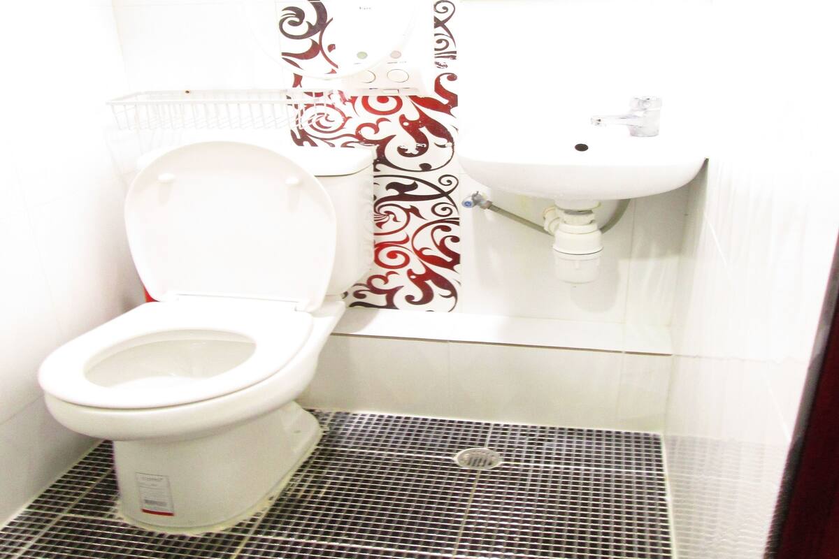 A bathroom with a white toilet, a sink, and a shower.