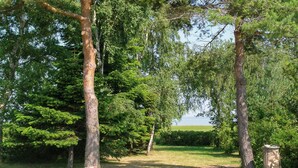 Un cadre naturel en plein air, avec des arbres et un sentier menant à un plan d’eau.