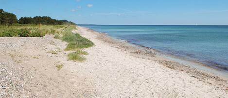 Platja a a prop i pesca