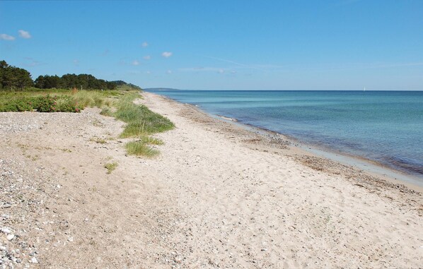 Playa en los alrededores y pesca 