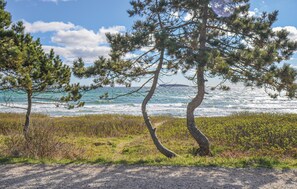 Vlak bij het strand, vissen