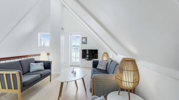 电视、DVD 播放器