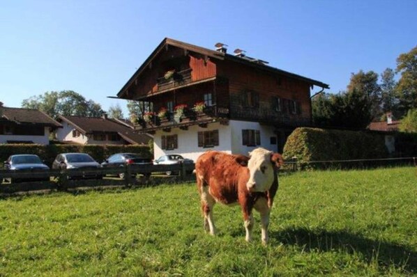 Unclassified image, 1 of 5, button - Apartment Nr. 5 - Apartments Haus Katharina (Rottach-Egern)