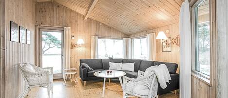 TV, fireplace, DVD player