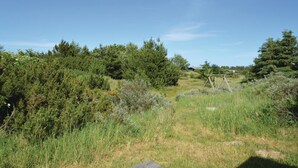 A natural landscape with dense greenery, a wooden swing set, and a clear blue sky.