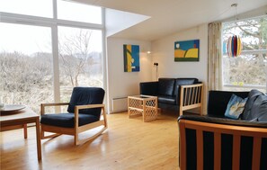 TV, fireplace, DVD player