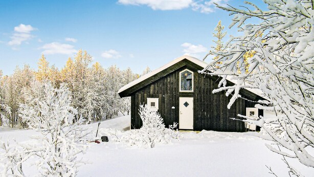 A wooden cabin surrounded by snow-covered trees.