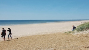 Une plage avec un ciel dégagé, un rivage sablonneux et quelques personnes qui se promènent.