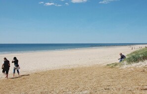 Beach nearby - 3 bedroom awesome home in Blåvand (Blåvand)
