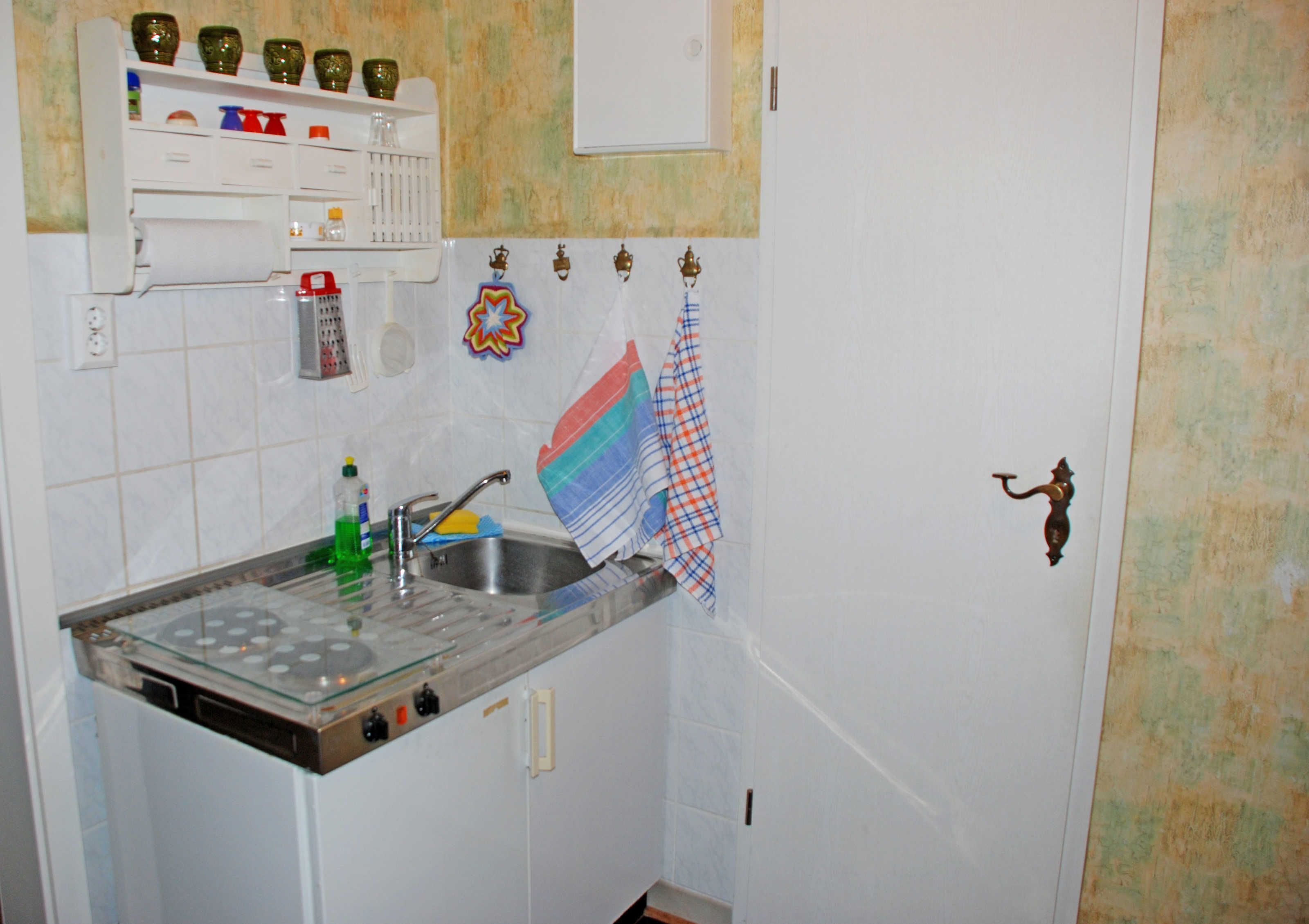 Eine kleine Küche mit Spüle, Glaskeramikkochfeld und einem weißen Schrank. Auf den Regalen über der Spüle befinden sich verschiedene Küchenutensilien.
