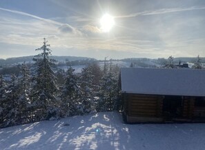 Unclassified image, 3 of 20, button