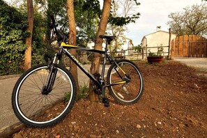 Terrain de l’hébergement 