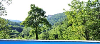 Holiday home near the forest and very quiet