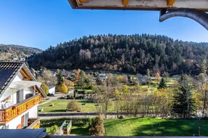 Property grounds - Holiday apartment with shared balcony (Todtmoos)