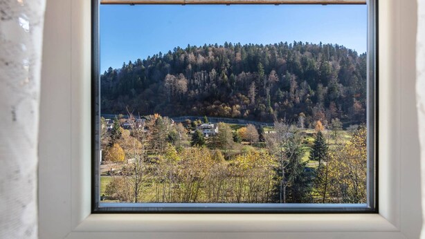Janela com vista para uma colina arborizada e uma área residencial.