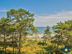 Ein Strand mit Kiefern, Sand und Sonnenschirmen.
