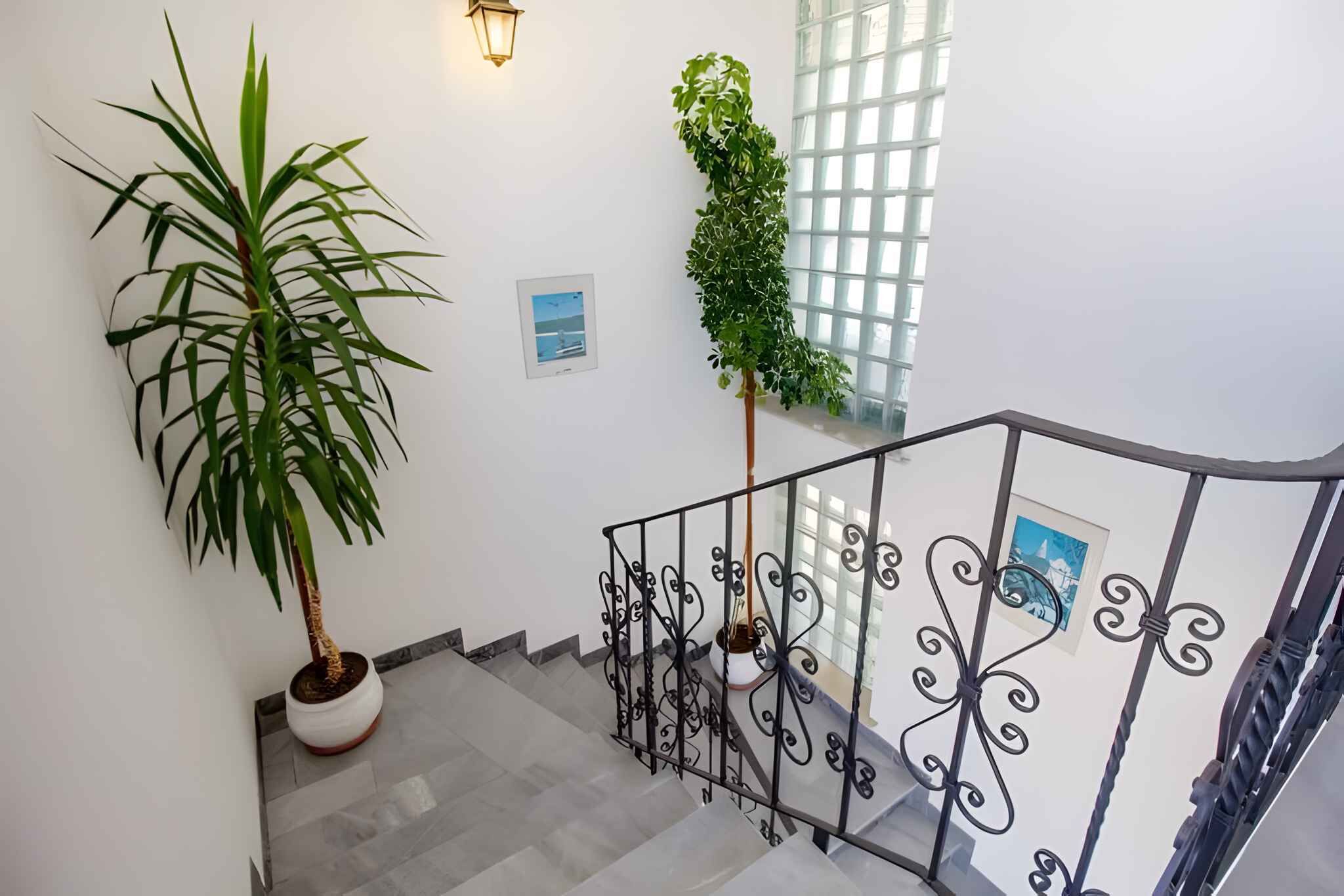 A staircase with a railing, potted plants, and framed pictures on the walls.