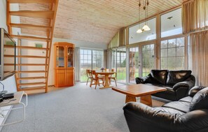TV, fireplace, DVD player