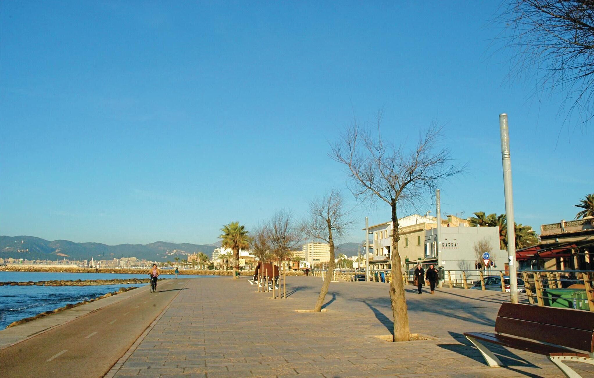 A coastal promenade with a paved walkway, benches, and palm trees.