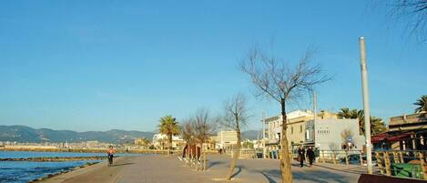 A coastal promenade with a paved walkway, benches, and palm trees.