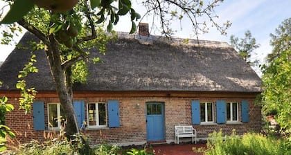 FeHa - Historic thatched cottage with trailer and large orchard