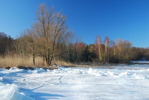 Imagem sem classificação, 4 de 49, botão