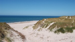 Una spiaggia con dune sabbiose e una vista libera sull'oceano.