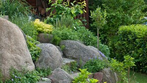 A garden with large rocks, greenery, and a wooden structure. - Apartment 1 - Villa Amelie (Binz)
