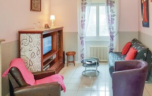 Télévision, cheminée, lecteur de DVD