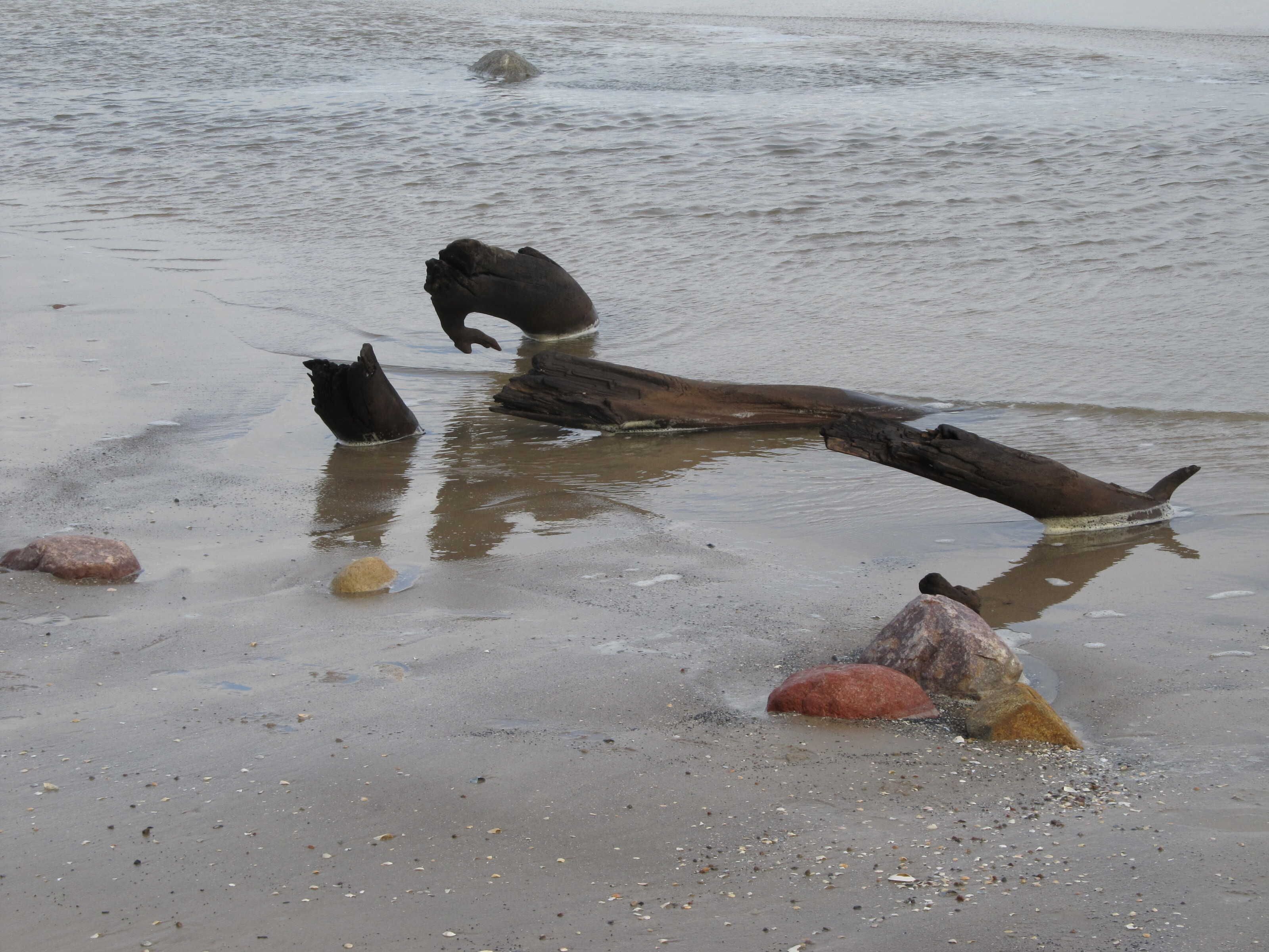 Eine Strandansicht mit einem angespülten Baumstamm und Felsen.