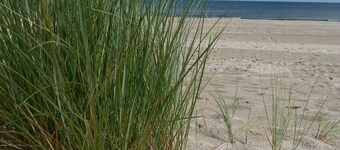 Leilighet SA Type 1 - leiligheter Furch