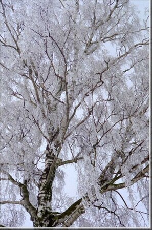 Uklassifisert bilde, 4 av 49, knapp