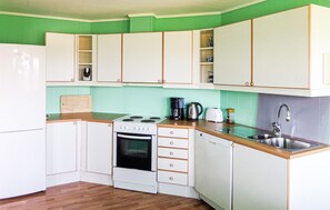 Kühlschrank, Mikrowelle, Herdplatte, Geschirrspüler