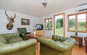 TV, fireplace, DVD player
