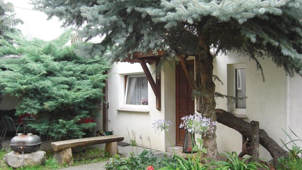 Una casa petita amb jardí, una boscadissa de fusta i una barbacoa.