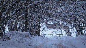 Een pad bedekt met sneeuw dat naar een gebouw leidt, met een hek op de achtergrond.