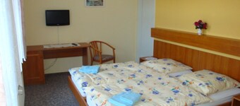 Double Room 1 - Apartment u. Room Goldschmidt